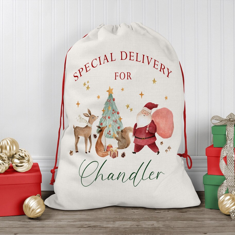 Personalised Name Christmas Dr - Kids Toys Names incelemesi ve fiyatı