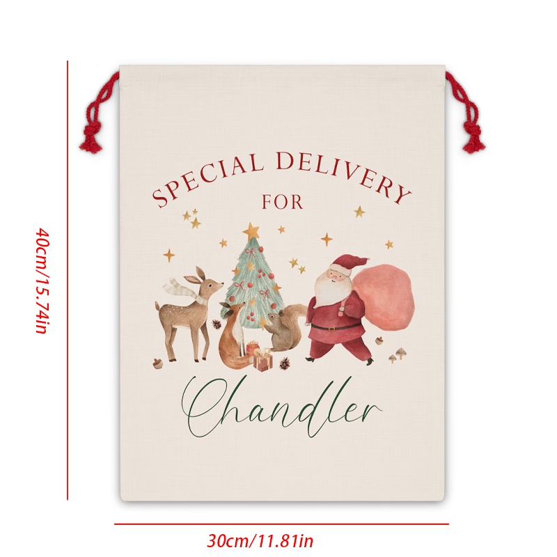 Personalised Name Christmas Dr - Kids Toys Names incelemesi ve fiyatı
